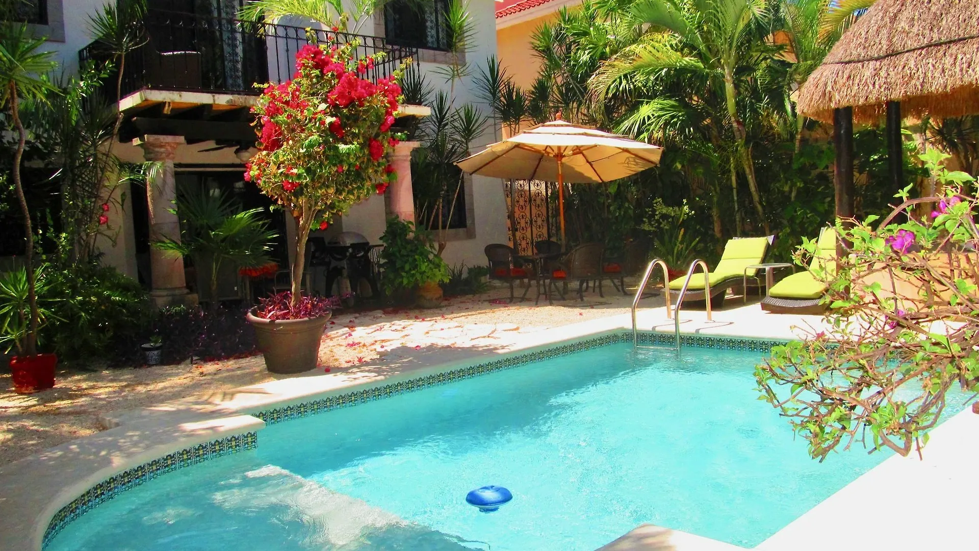 Casa Royal Palms By Playa Paradise Πλάγια Ντελ Κάρμεν