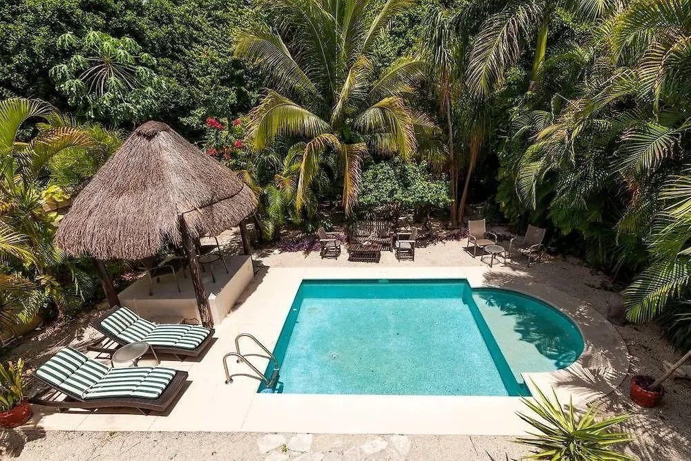 Casa Royal Palms By Playa Paradise Πλάγια Ντελ Κάρμεν 0*,